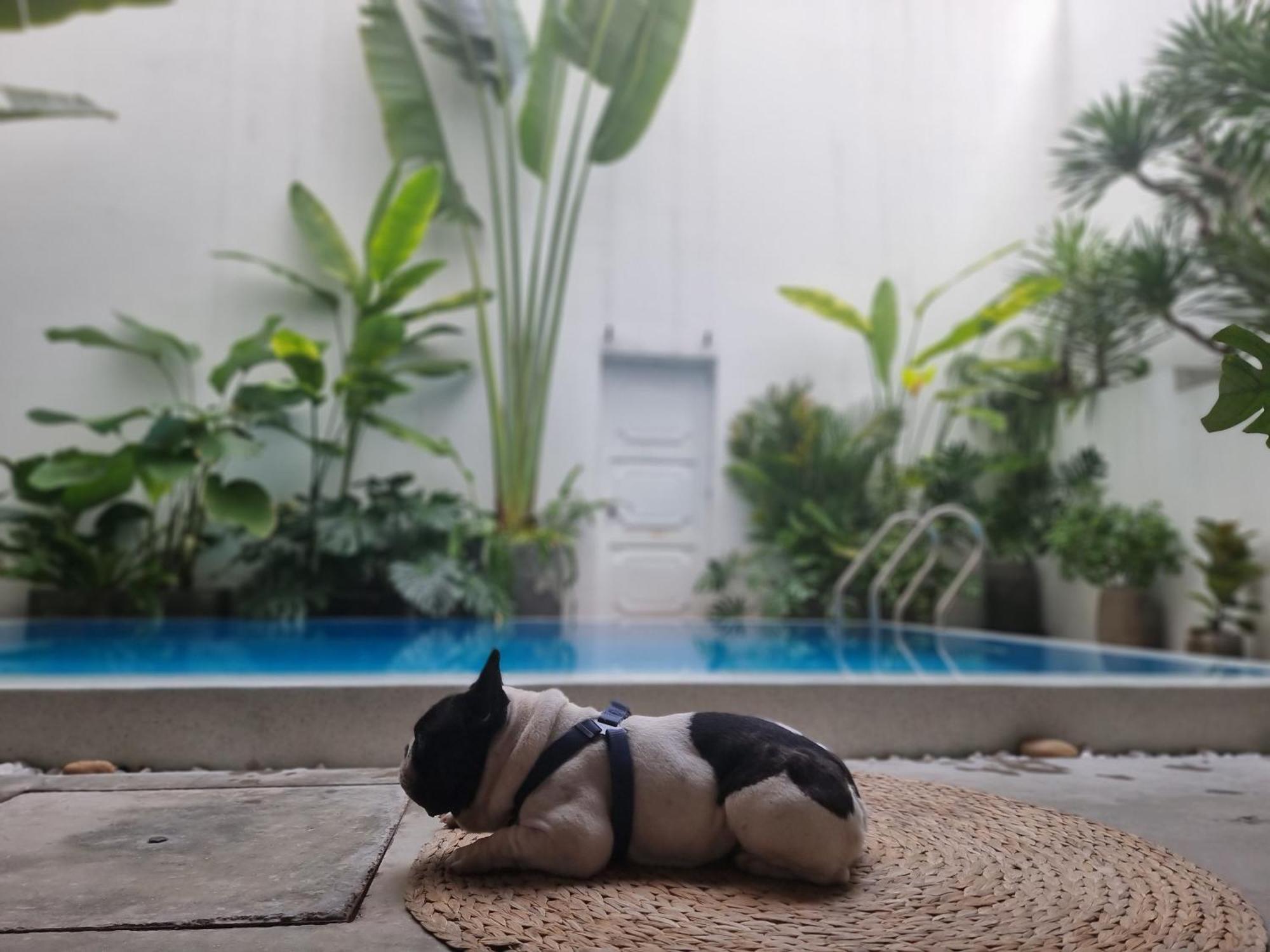 Lada'S House Da Nang Apartment Exterior photo
